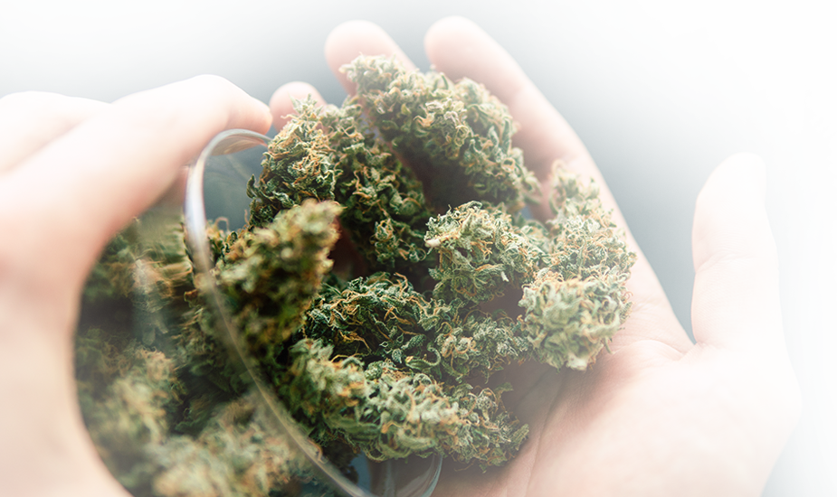 Labstat Cannabis Testing