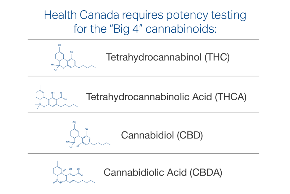 Cannabis Potency Testing In Canada- 3 Ways To Get The Best Lab Partner