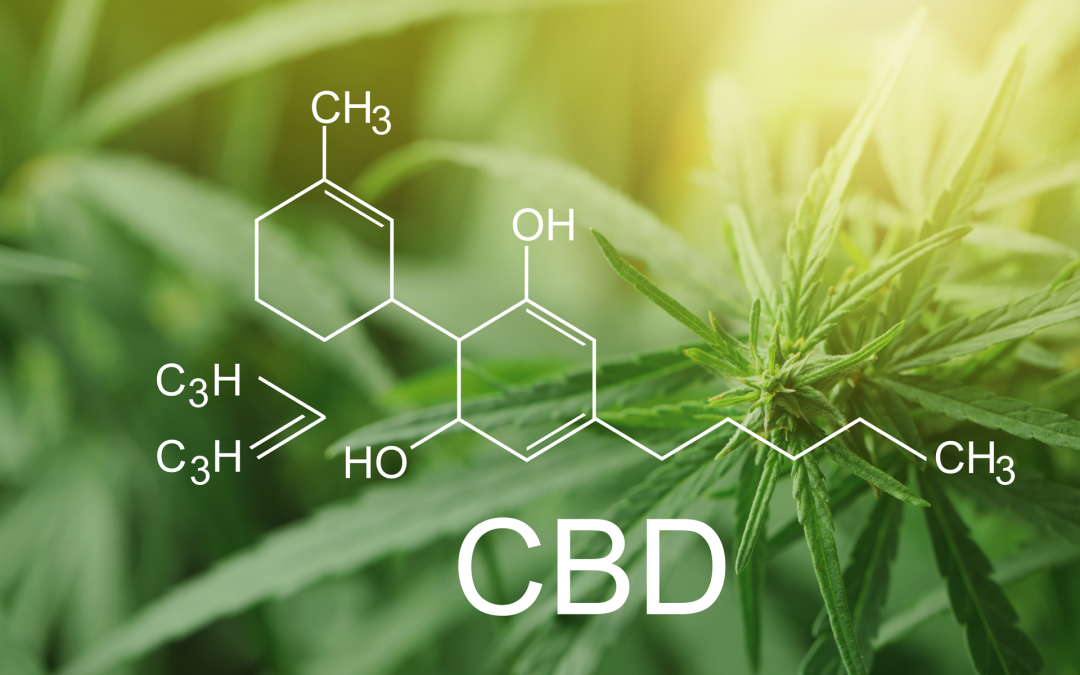 Hemp, CBD, Cannabis: What’s the Difference?