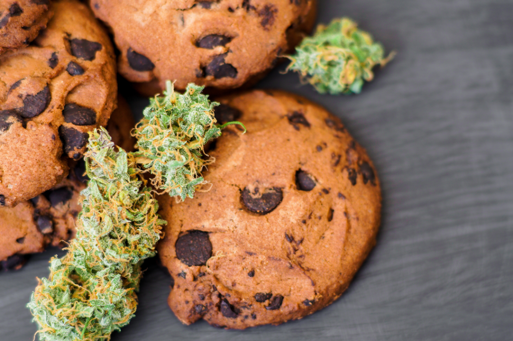 Cannabis-infused chocolate chip cookies. 