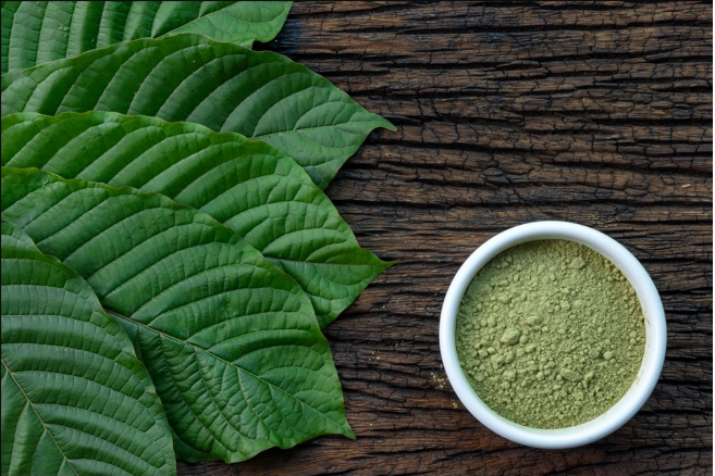 Kratom Lab Testing: Why it is Critical for Consumer Safety