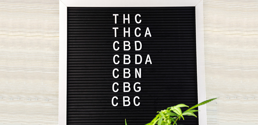 cannabinoids. THCA, CBDA, CBD, and THC Potency Testing in Canada.