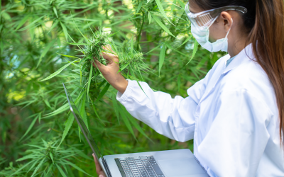 Hemp Heavy Metals Testing: Know Your Specifications.