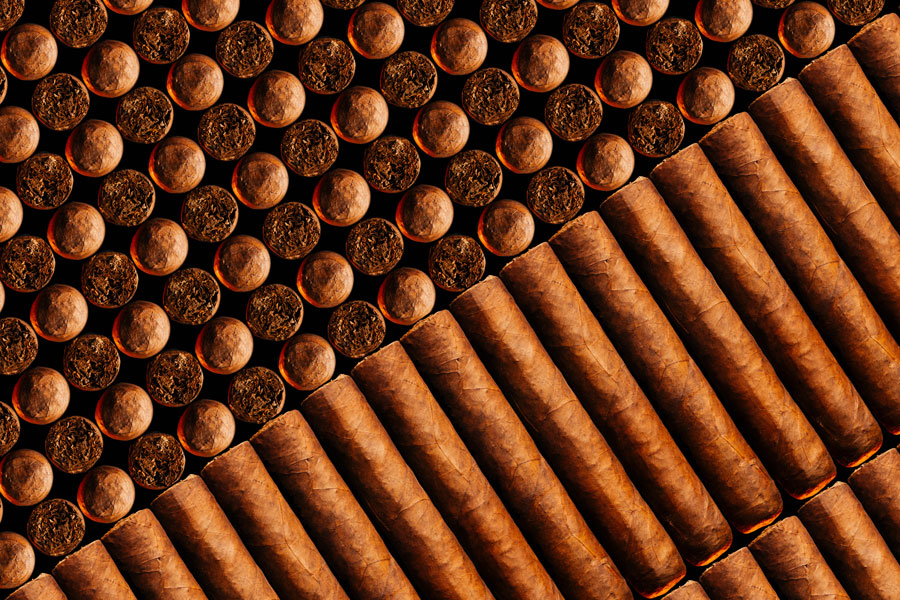 Cigars stacked in rows in cigar testing laboratory.